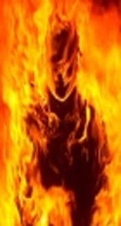 Epidemiology of Self - Burning in Iranian Townships Covered by Shiraz University of Medical Sciences